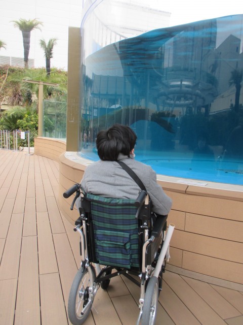 新しい車椅子でサンシャイン水族館に行きました。