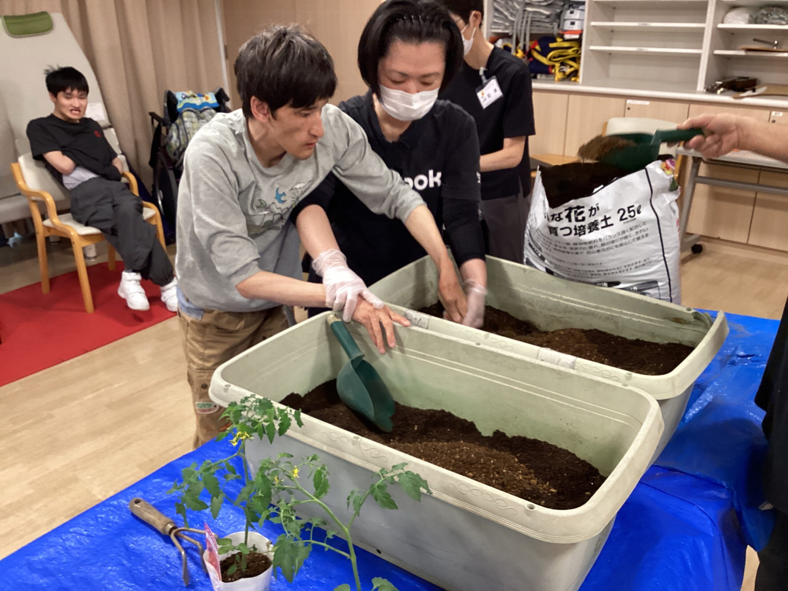 自家製トマトジュュースを飲もう！