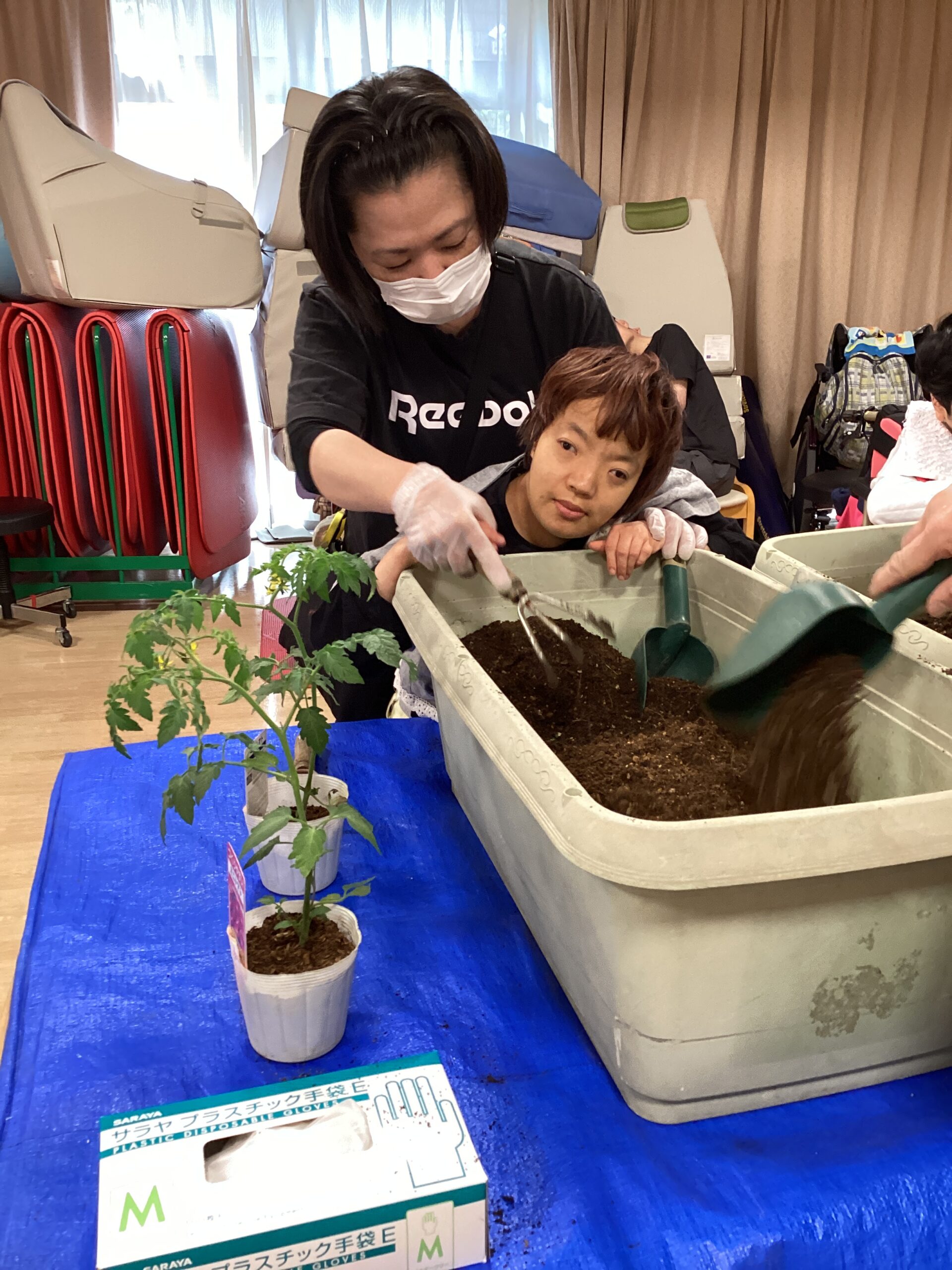 自家製トマトジュュースを飲もう！