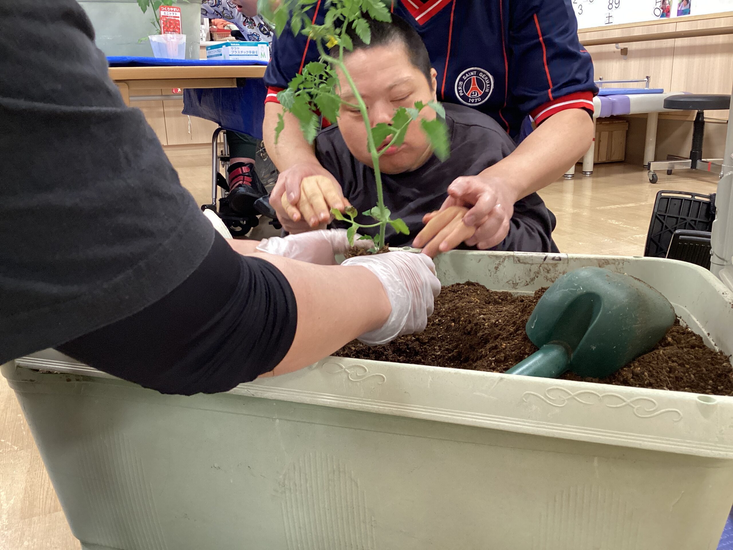 自家製トマトジュュースを飲もう！